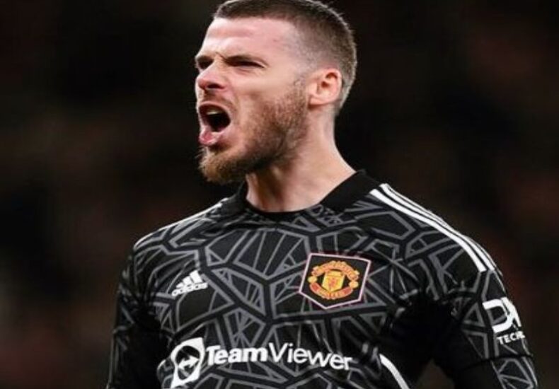 David De Gea Pemain Terbaik